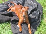 Das war anstrengend!