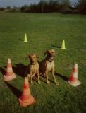 Mit viel Training haben wir es geschafft!