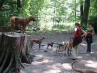 Bonnies 2. Hunderunde